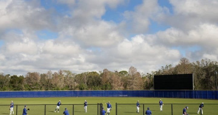 Blue Jays taking pastime in hockey as camp opens